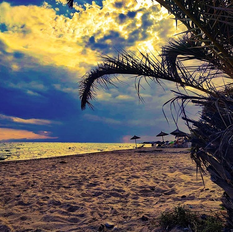 E6FBFAA9-4EF6-401A-B549-7C6A639373DA